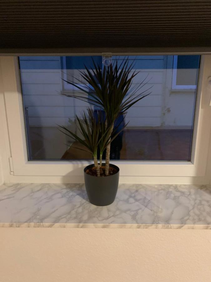 Home24 Immobilien *